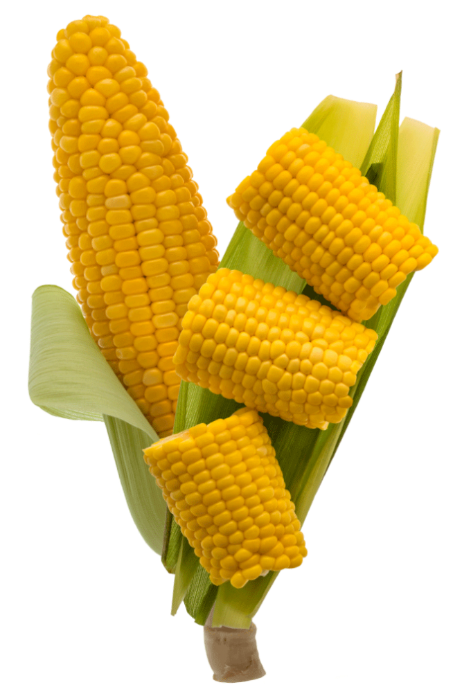 001_Mambo_Product-Images_Corn-Cobbettes-tilted-1000x1000-WEB-copy