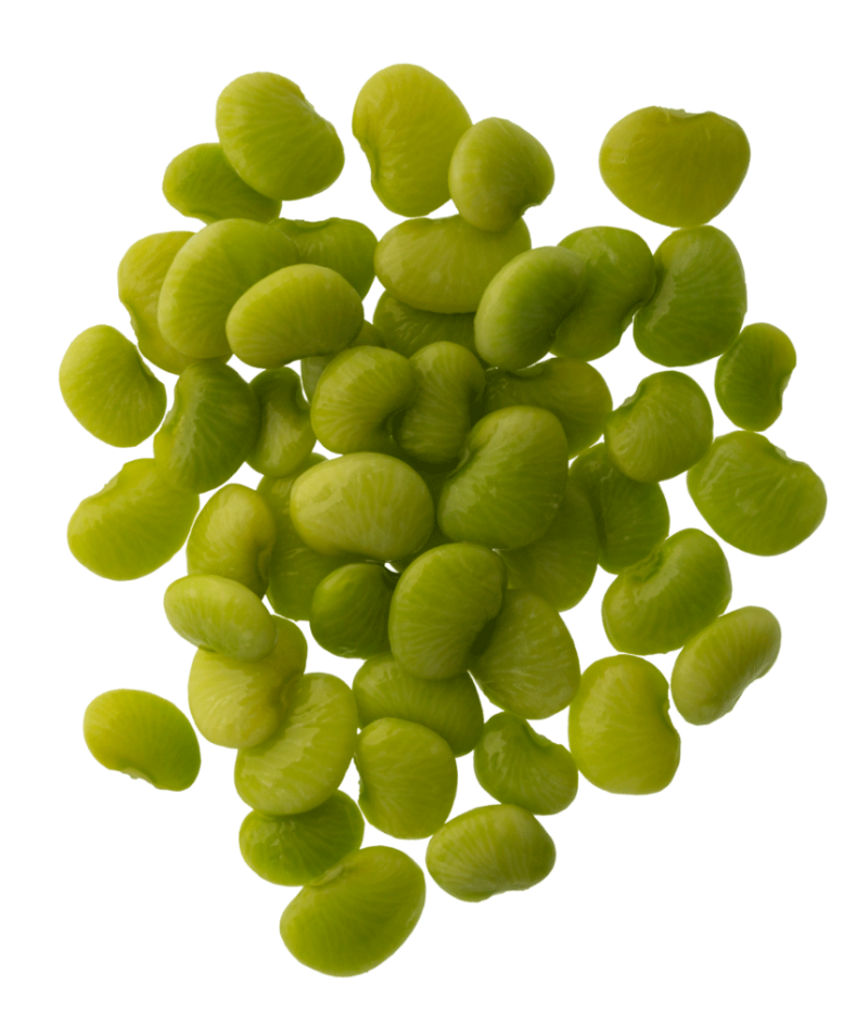 001_Mambo_Product-Images_Lima-Beans-tilted-1000x1000-WEB-copy