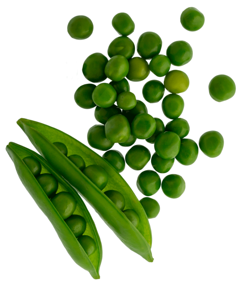 001_Mambo_Product-Images_Peas-tilted-1000x1000-WEB-copy