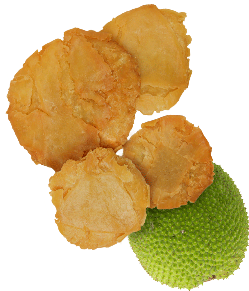 001_Mambo_Product-Images_Tostones-Pana-tilted-1000x1000-WEB-copy